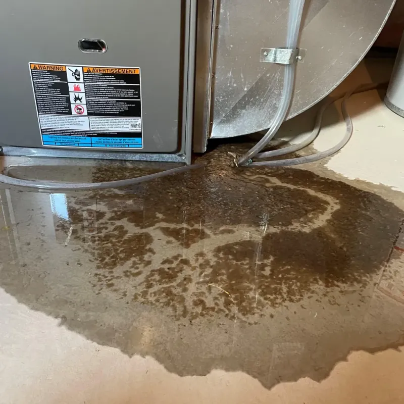 Appliance Leak Cleanup in Falkville, AL